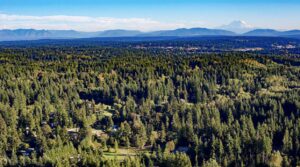 Mill Creek Real Estate
