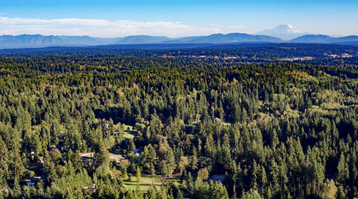 Mill Creek Real Estate