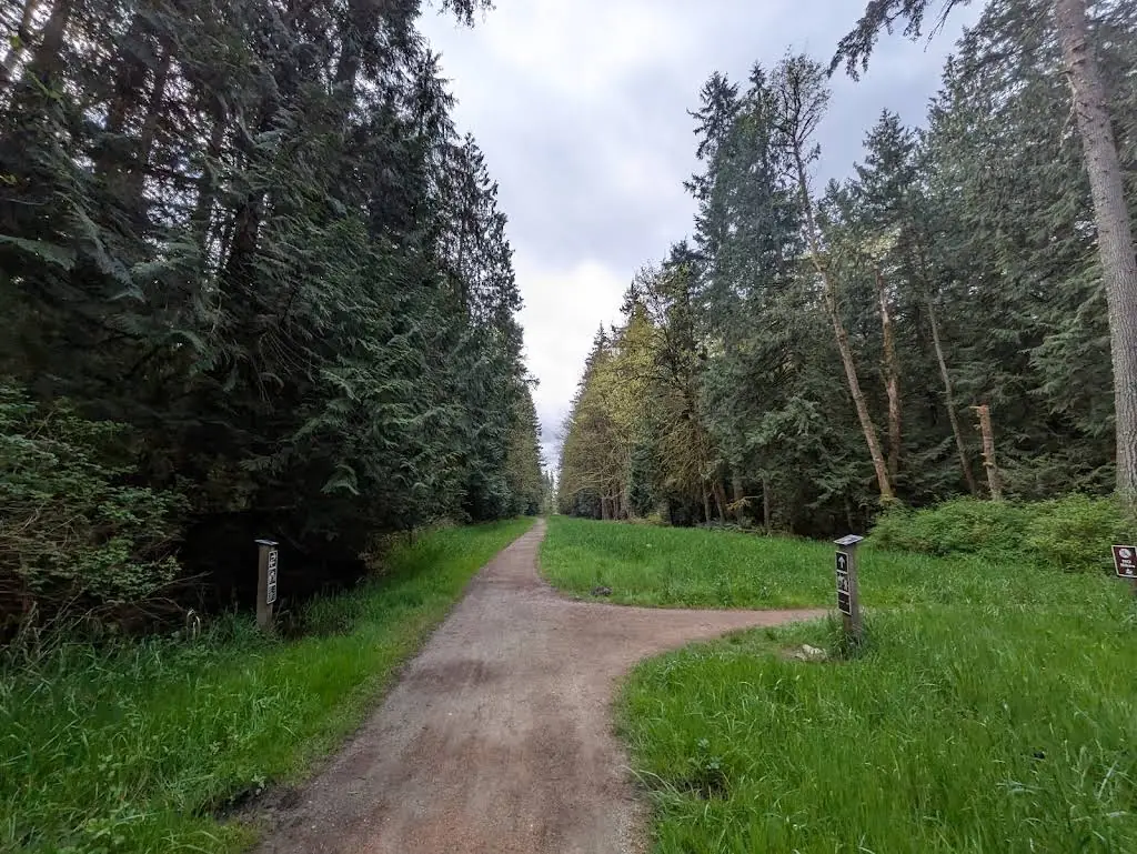 Forest trail near Elm Tree Lane on Union Hill in Redmond